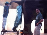 I Will Never Complain About My Job Again