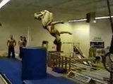 Multi Level Moves - Joe Eigo