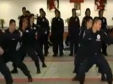 Taiwanese Kung Fu SWAT Team