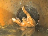 Toddler Flushes Puppy Down The Toilet