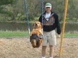 The Swinging Dog