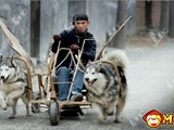 The Husky-Mobile Invention