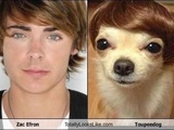 77 Hilarious Look-A-Likes
