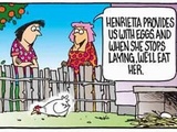 Why The Chicken Crossed The Road