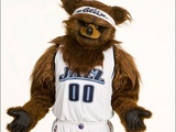 This Is Why You Don't Mess With A Mascot