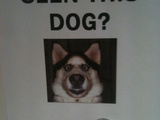 8 Random Photos Of The Day 02/11/11