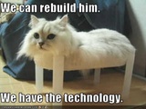 8 Random Photos Of The Day 02/21/11