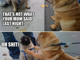 8 Random Photos Of The Day 03/22/11