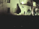 Seagull Steals A GoPro Camera